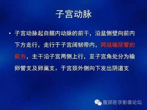 女性生殖系統(tǒng)CT診斷基礎(chǔ)與技術(shù)研發(fā)前沿（上篇）